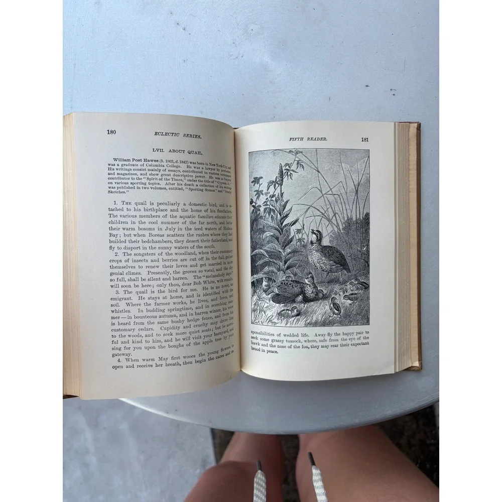 McGuffey's Fifth Eclectic Reader Revised Edition 1920 American Book Company Hard